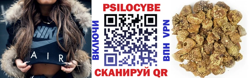 где можно купить наркотик  Усмань  Псилоцибиновые грибы мицелий 